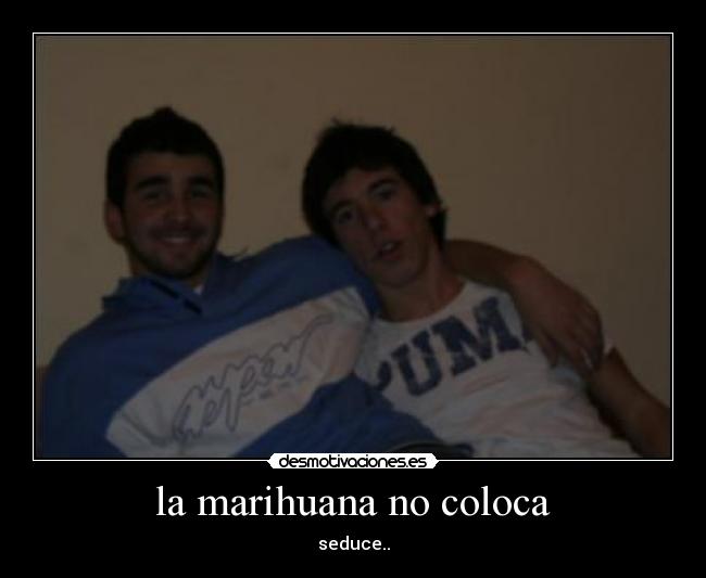 la marihuana no coloca - 