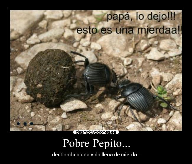 Pobre Pepito... - 