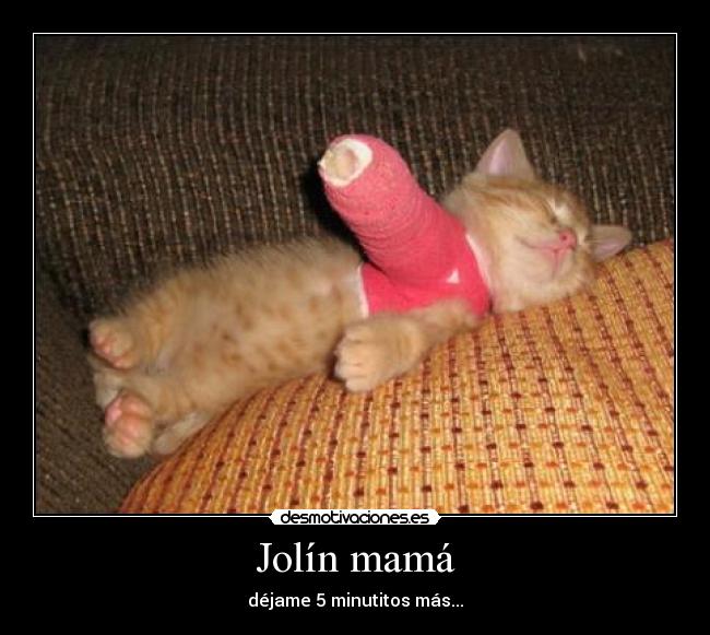 carteles mama dejame piratilla desmotivaciones