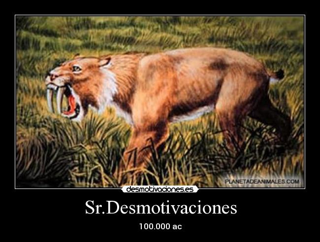 Sr.Desmotivaciones -