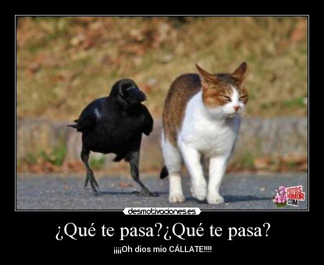 ¿Qué te pasa?¿Qué te pasa? -