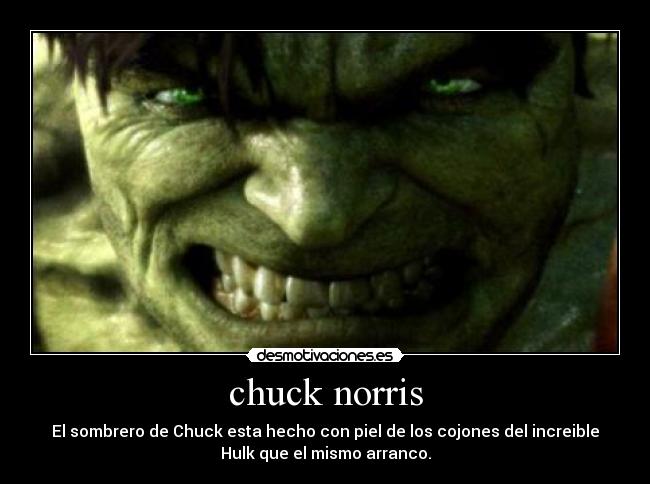 chuck norris - 