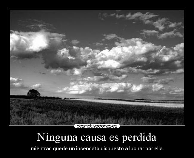 Ninguna causa es perdida - mientras quede un insensato dispuesto a luchar por ella.
