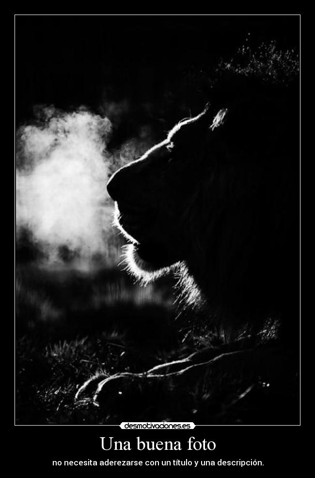 Una buena foto - no necesita aderezarse con un título y una descripción.
