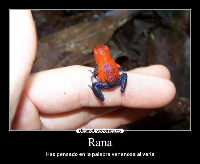 Rana -