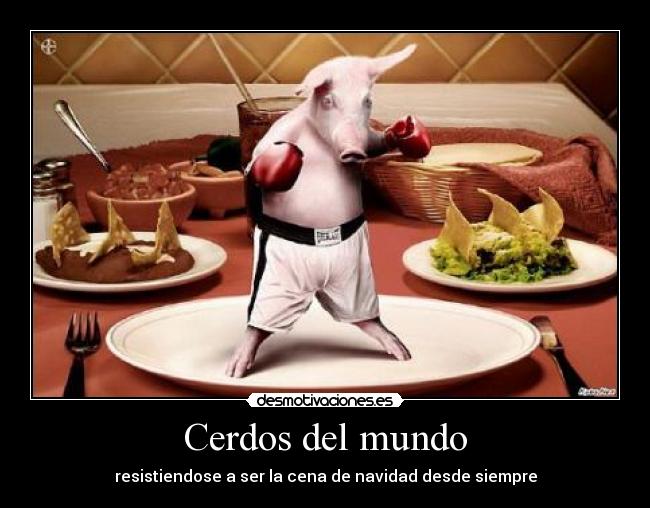 Cerdos del mundo -