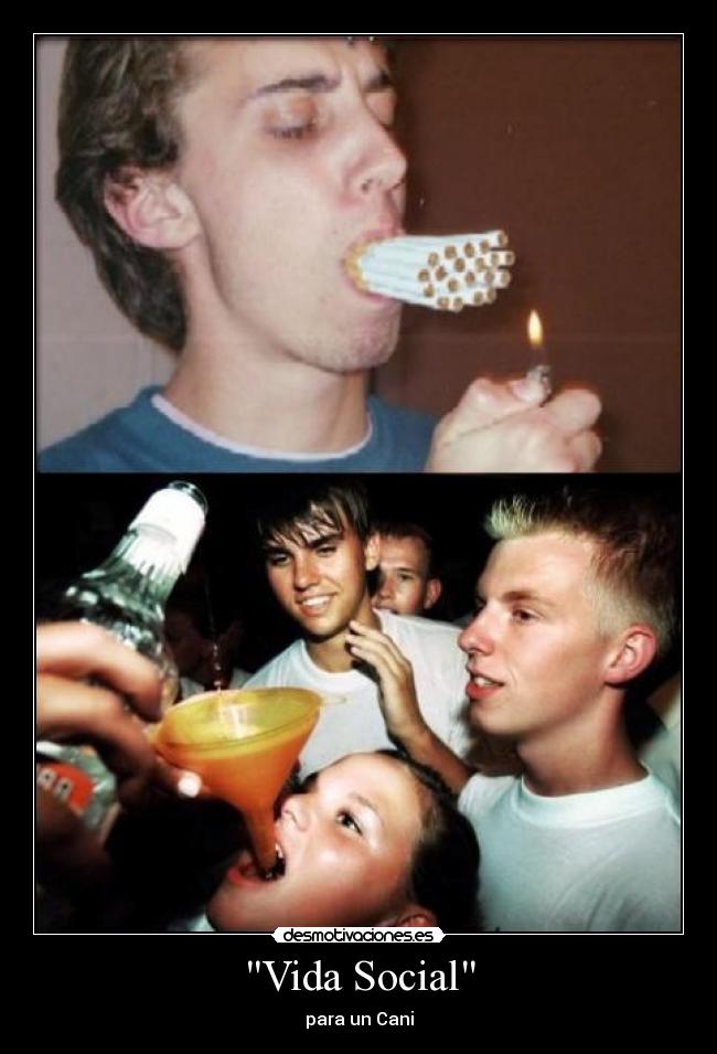 carteles vida chulololo desmotivaciones