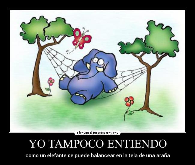 YO TAMPOCO ENTIENDO -