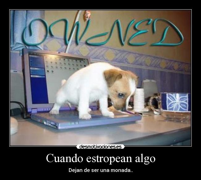 Cuando estropean algo -