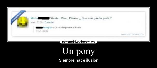 Un pony -