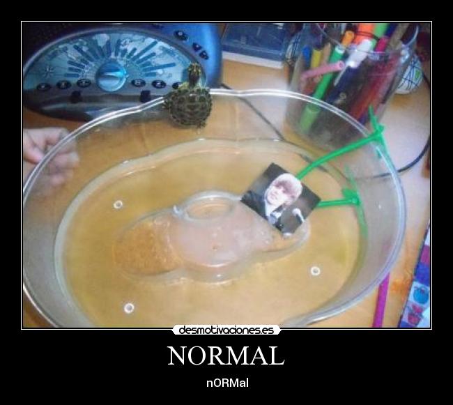 NORMAL - 