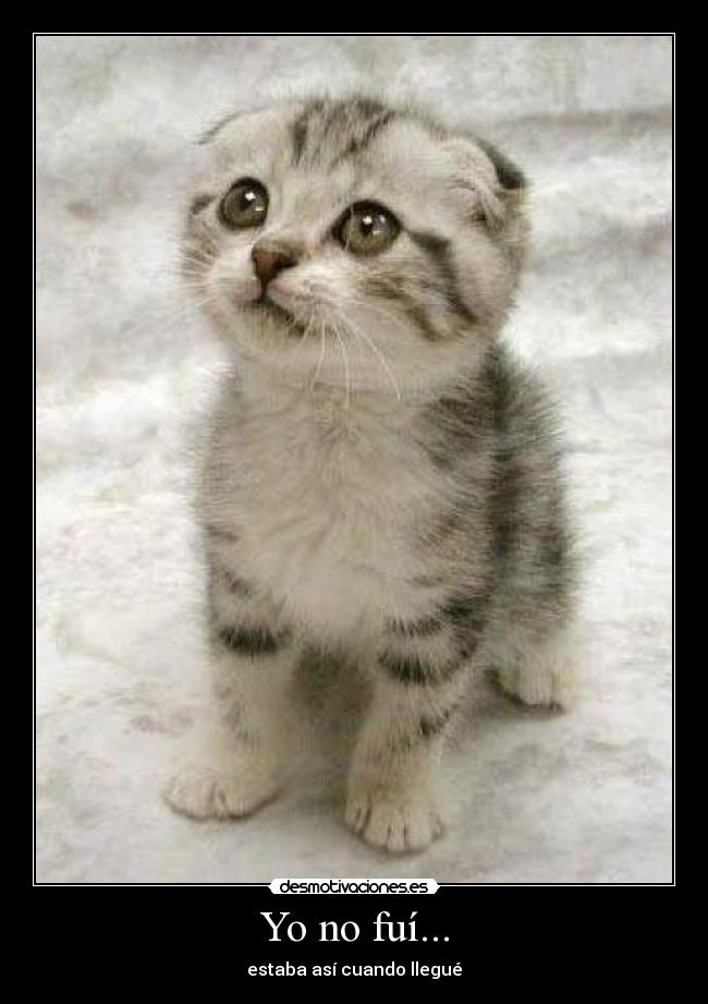 carteles nekito desmotivaciones