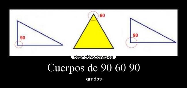 Cuerpos de 90 60 90 - 