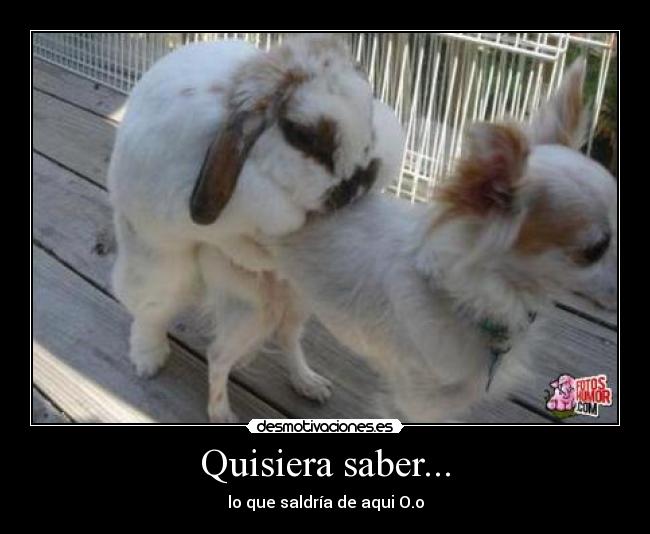 Quisiera saber... - 