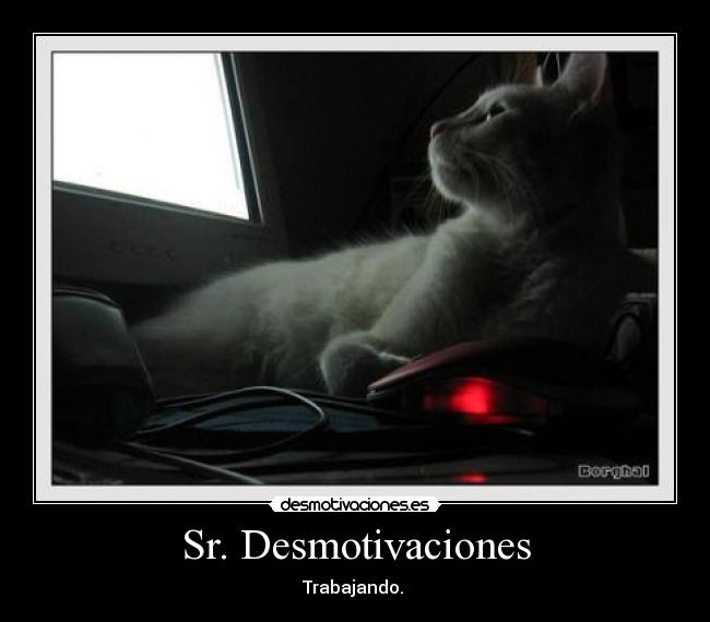 Sr. Desmotivaciones -