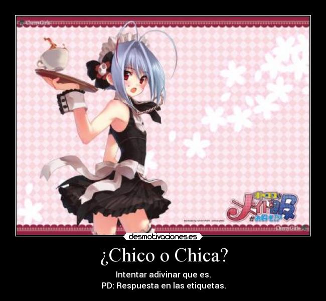 ¿Chico o Chica? - 