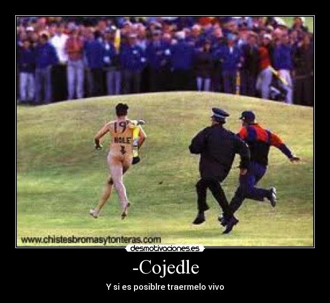 -Cojedle - Y si es posiblre traermelo vivo