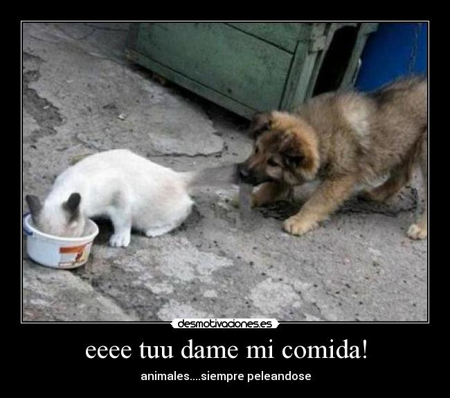 eeee tuu dame mi comida! -