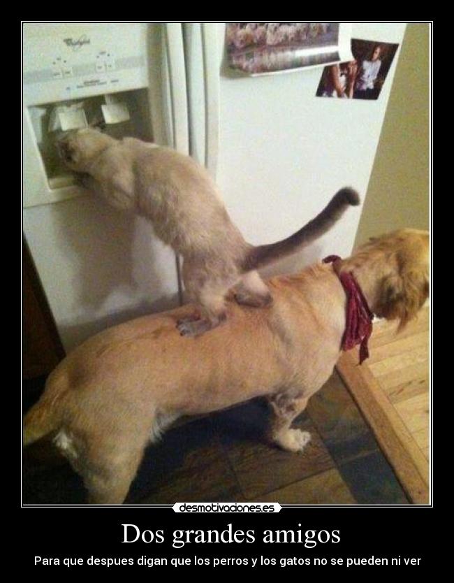 Dos grandes amigos -