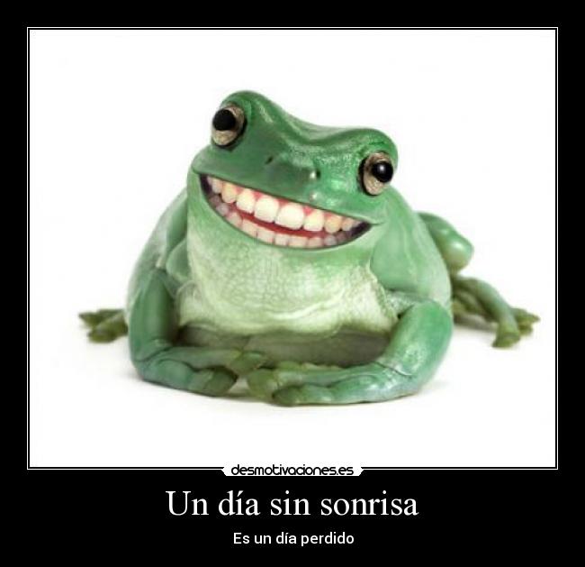 Un día sin sonrisa - 