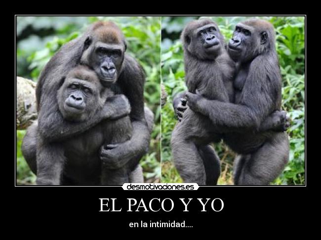 EL PACO Y YO - 