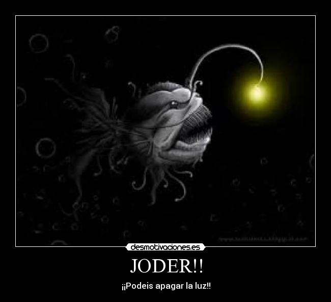 carteles  desmotivaciones