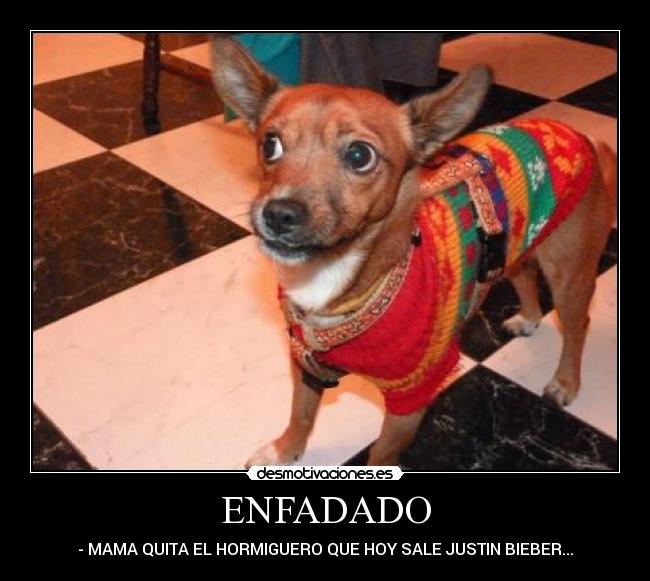 ENFADADO -
