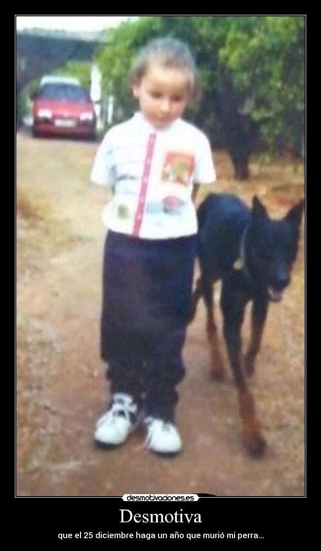 Desmotiva - que el 25 diciembre haga un año que murió mi perra...