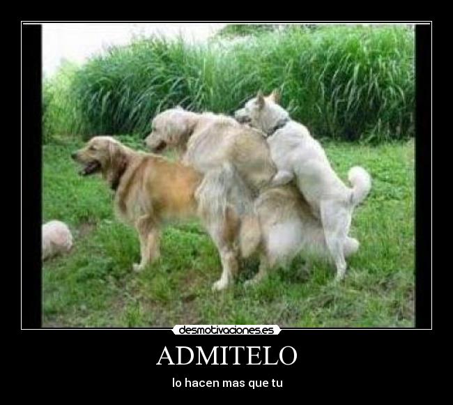 ADMITELO - lo hacen mas que tu