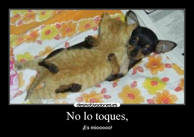 No lo toques, - ¡Es miooooo!