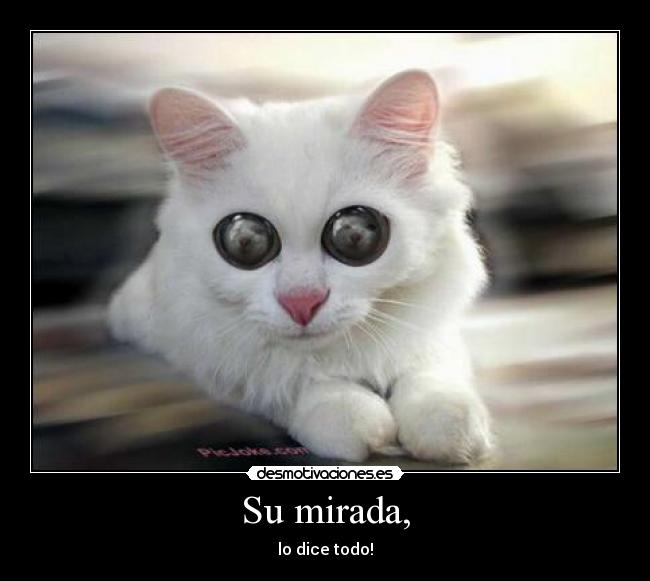 Su mirada, - lo dice todo!