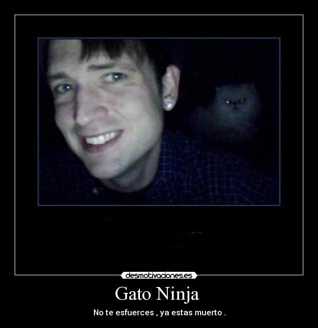 Gato Ninja -