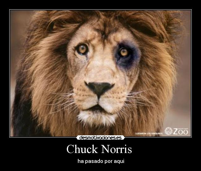 Chuck Norris  - ha pasado por aqui