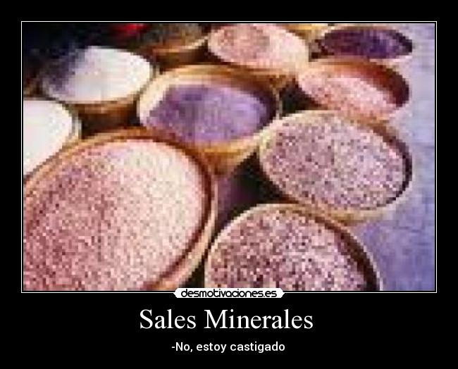 carteles sales minerales estoy castigado desmotivaciones
