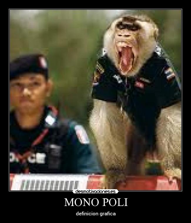 MONO POLI - definicion grafica
