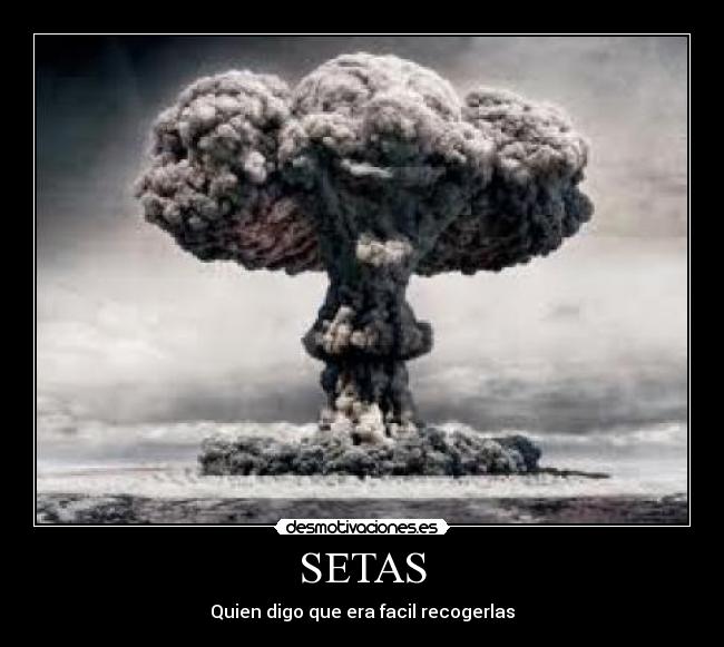 SETAS -