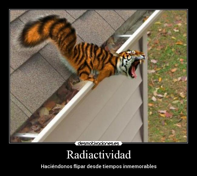 Radiactividad -