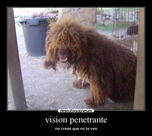 vision penetrante -