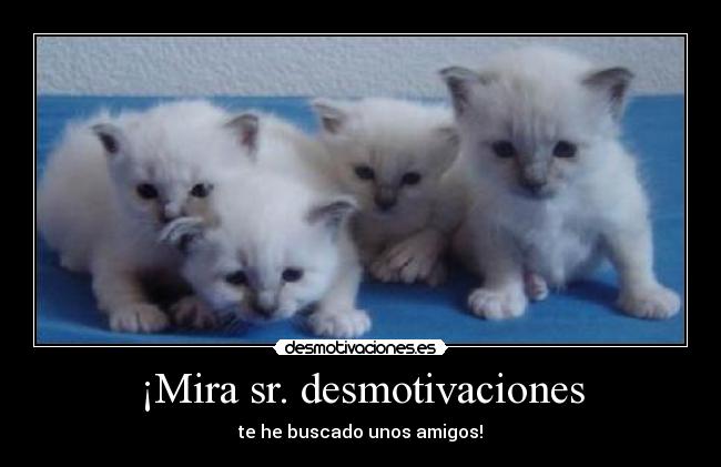 ¡Mira sr. desmotivaciones -