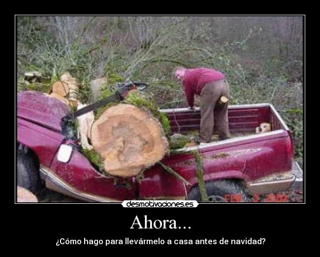 Ahora... - ¿Cómo hago para llevármelo a casa antes de navidad?