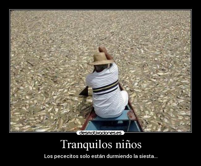 Tranquilos niños - Los pececitos solo están durmiendo la siesta...
