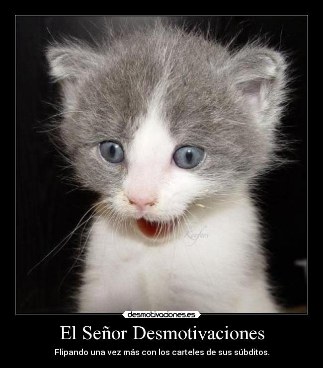 El Señor Desmotivaciones -