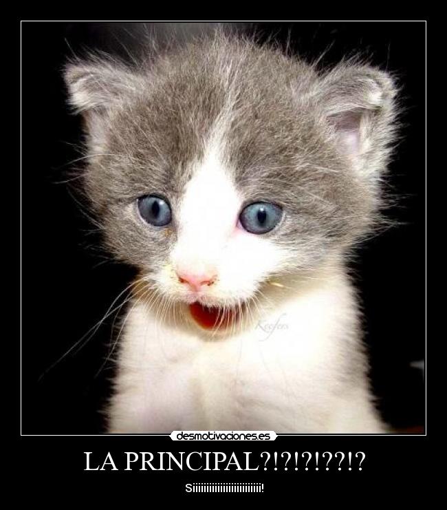 LA PRINCIPAL?!?!?!??!? -