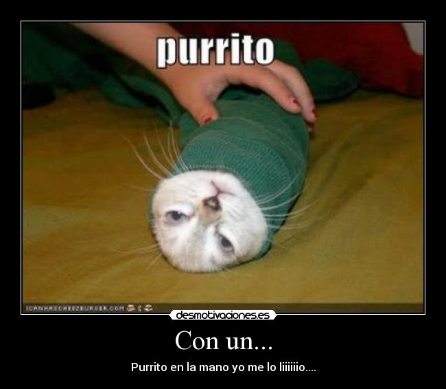 carteles desmotivaciones