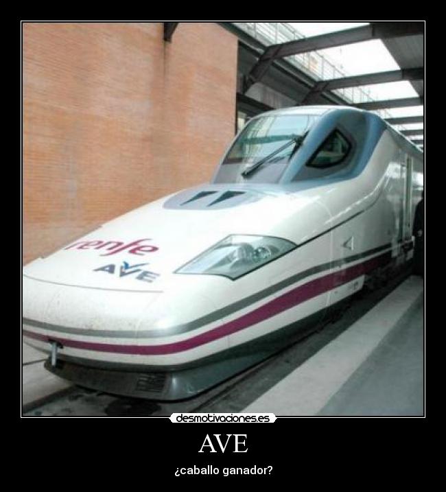 AVE - ¿caballo ganador?