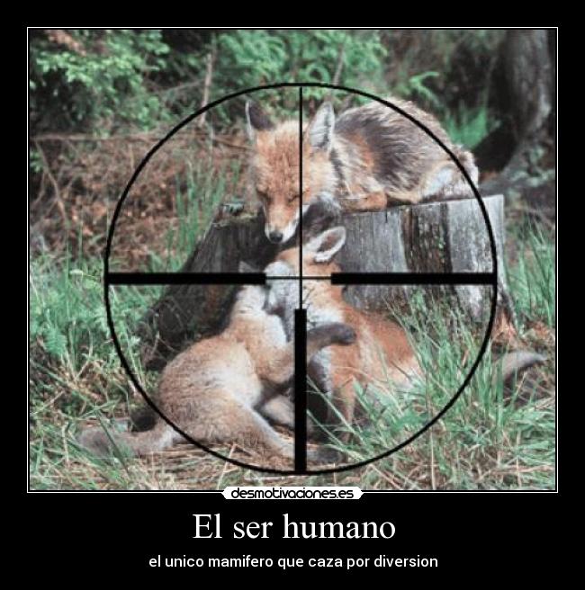 El ser humano -