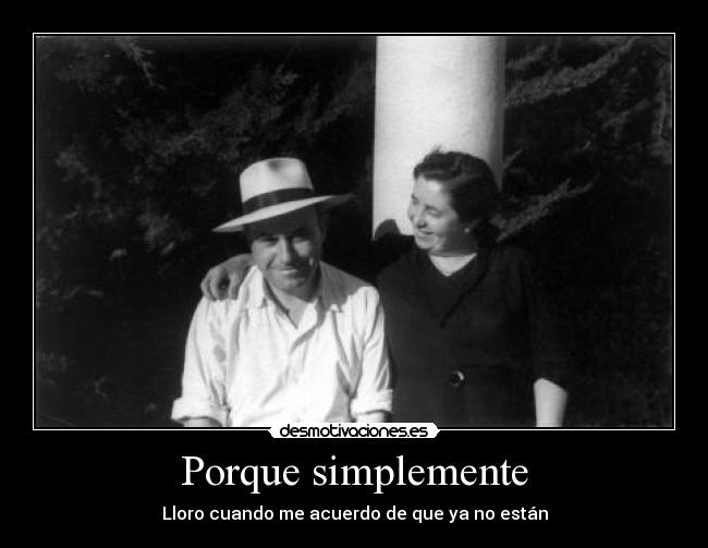 carteles abuelos felices desmotivaciones