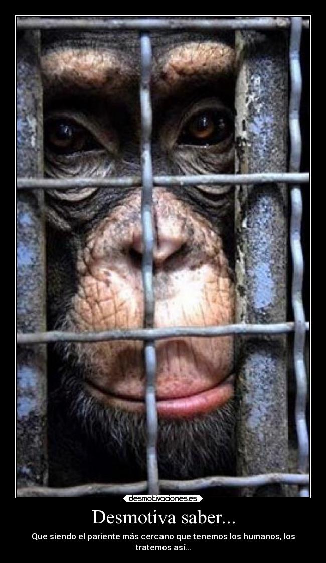 Desmotiva saber... - 