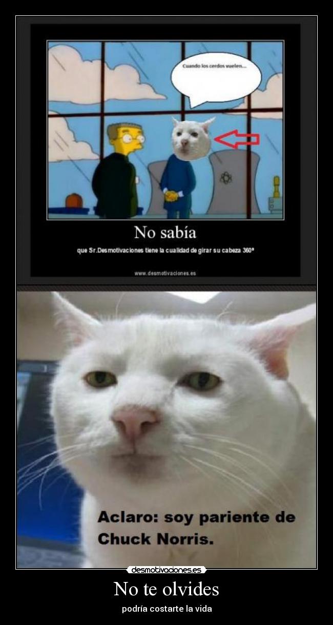 No te olvides - podría costarte la vida