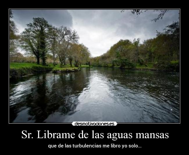 Sr. Librame de las aguas mansas - que de las turbulencias me libro yo solo...